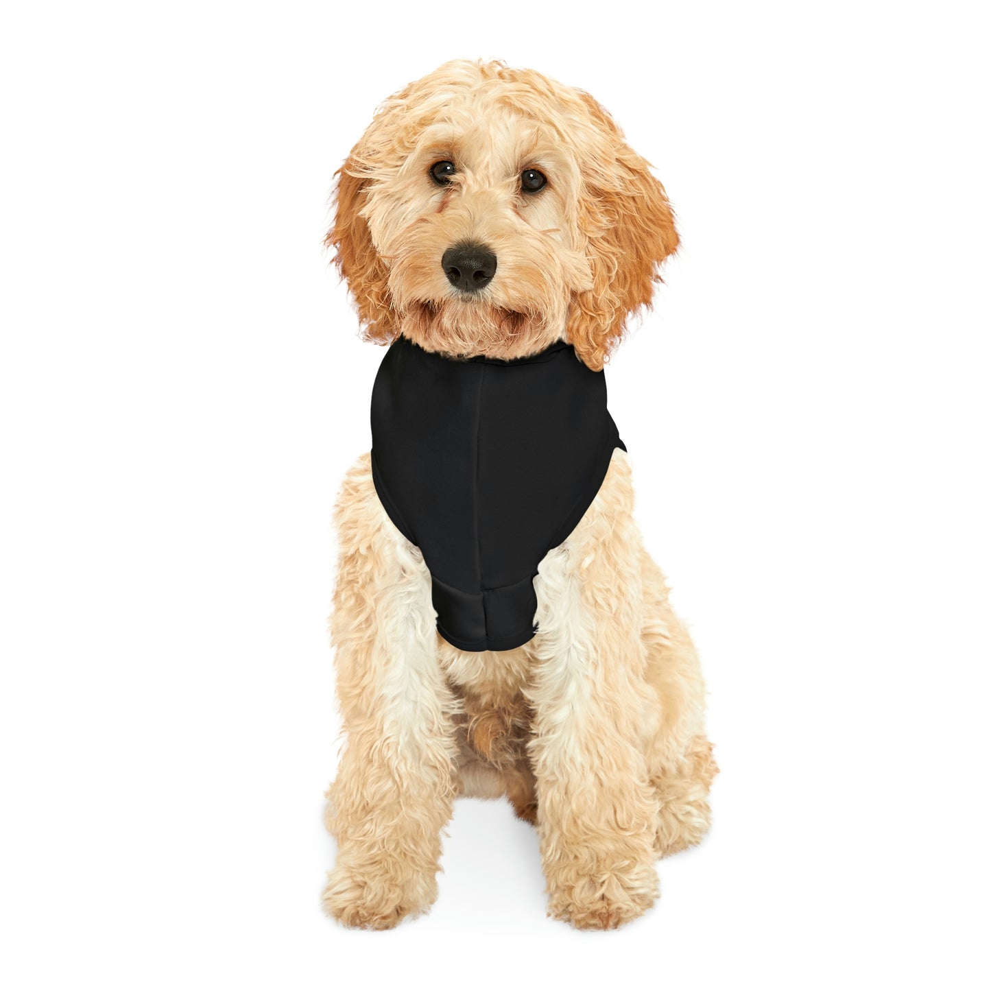 Keep your dog warm, cool, and stylish with this Black Forensic Science Dog Hoodie! Show off your dogs effortless, on-trend cool with a statement piece that lets everyone know you’re all about the Fido-inspired life, in and out of the dog park. 