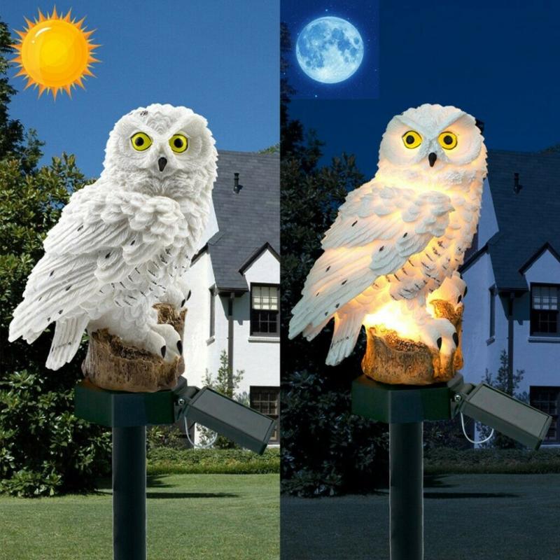 Adorable Solar power lights, no wiring required, absorbs sunlight for a few hours during the day and lights up at night.