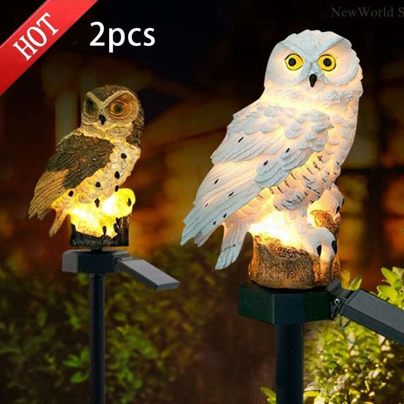 Adorable Solar power lights, no wiring required, absorbs sunlight for a few hours during the day and lights up at night.